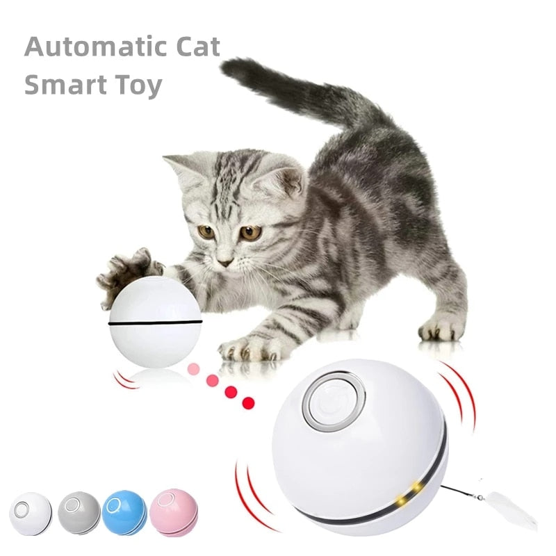 Ball Automatic Ball Toy