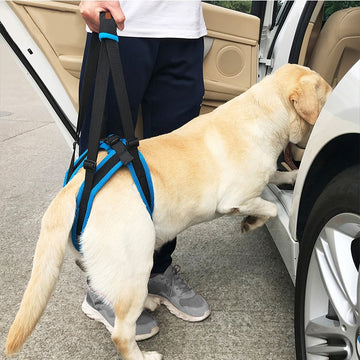 Adjustable Pet Dog Sling Lift Harness
