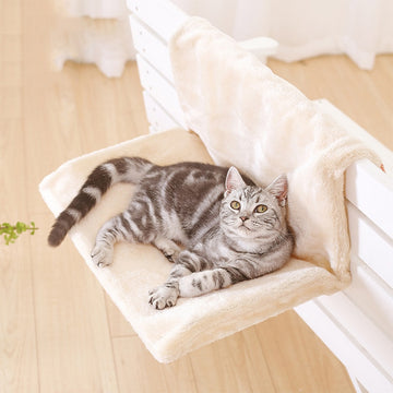 Cat Bed Comfortable Lounge Hammocks
